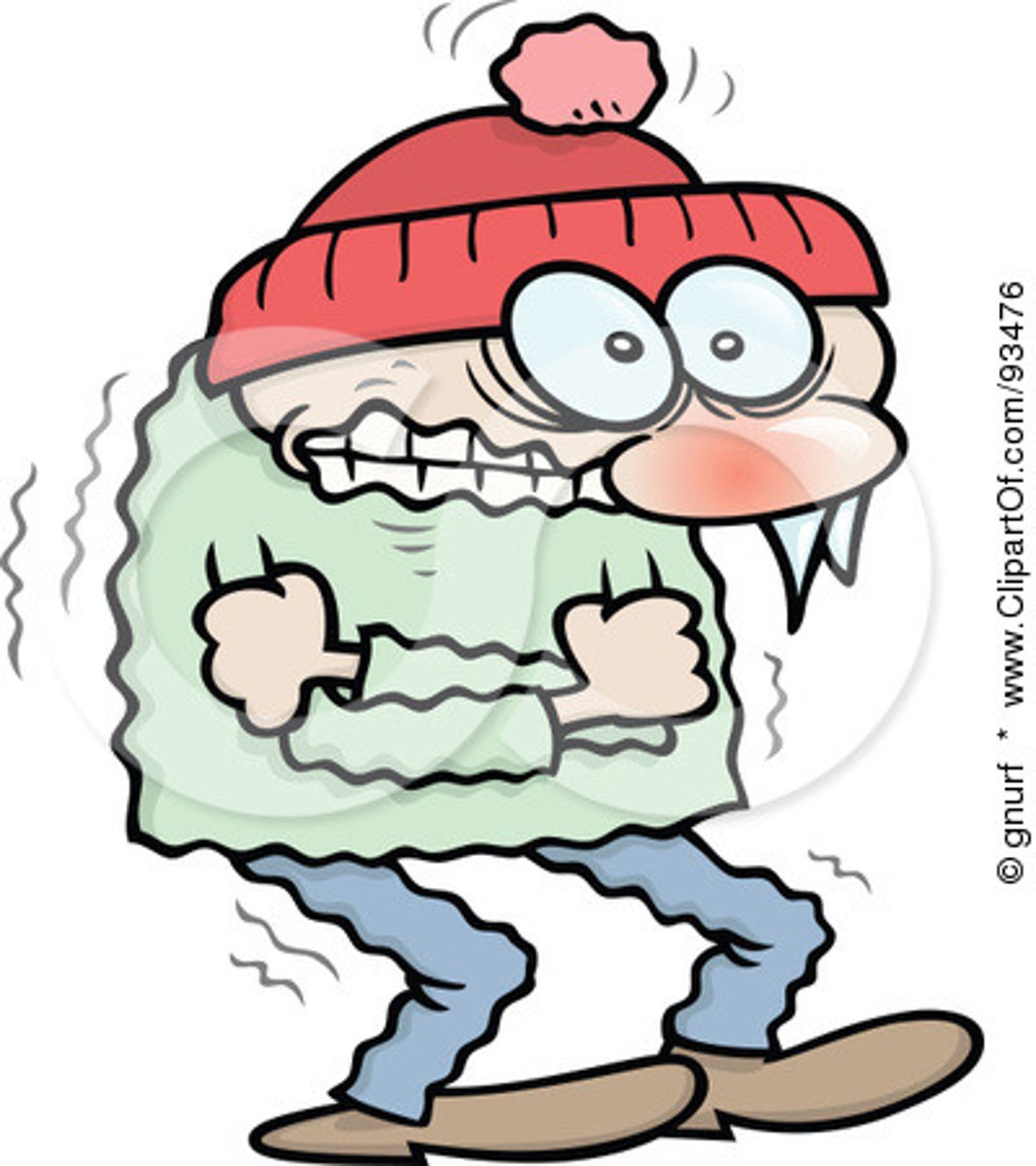 <p>reflex shaking caused by cold or fear or excitement 떨림, 떨다</p>