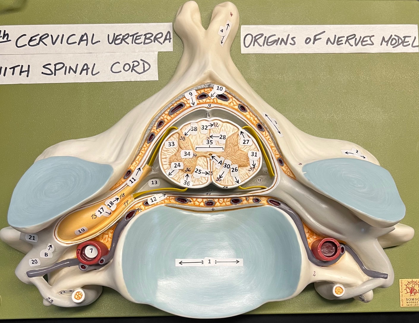 <p>7 (name only)</p>