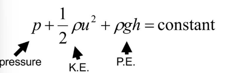 <p>This equation describes…</p>