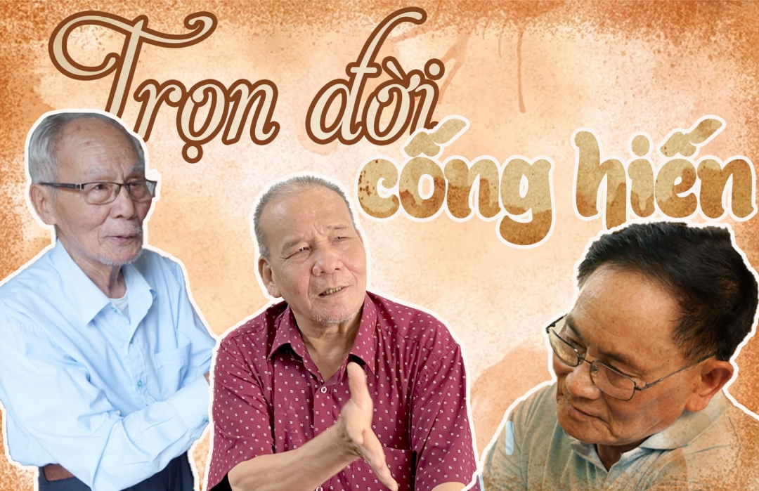 <p>Cống hiến </p>