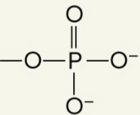 <p>what functional group is this</p>