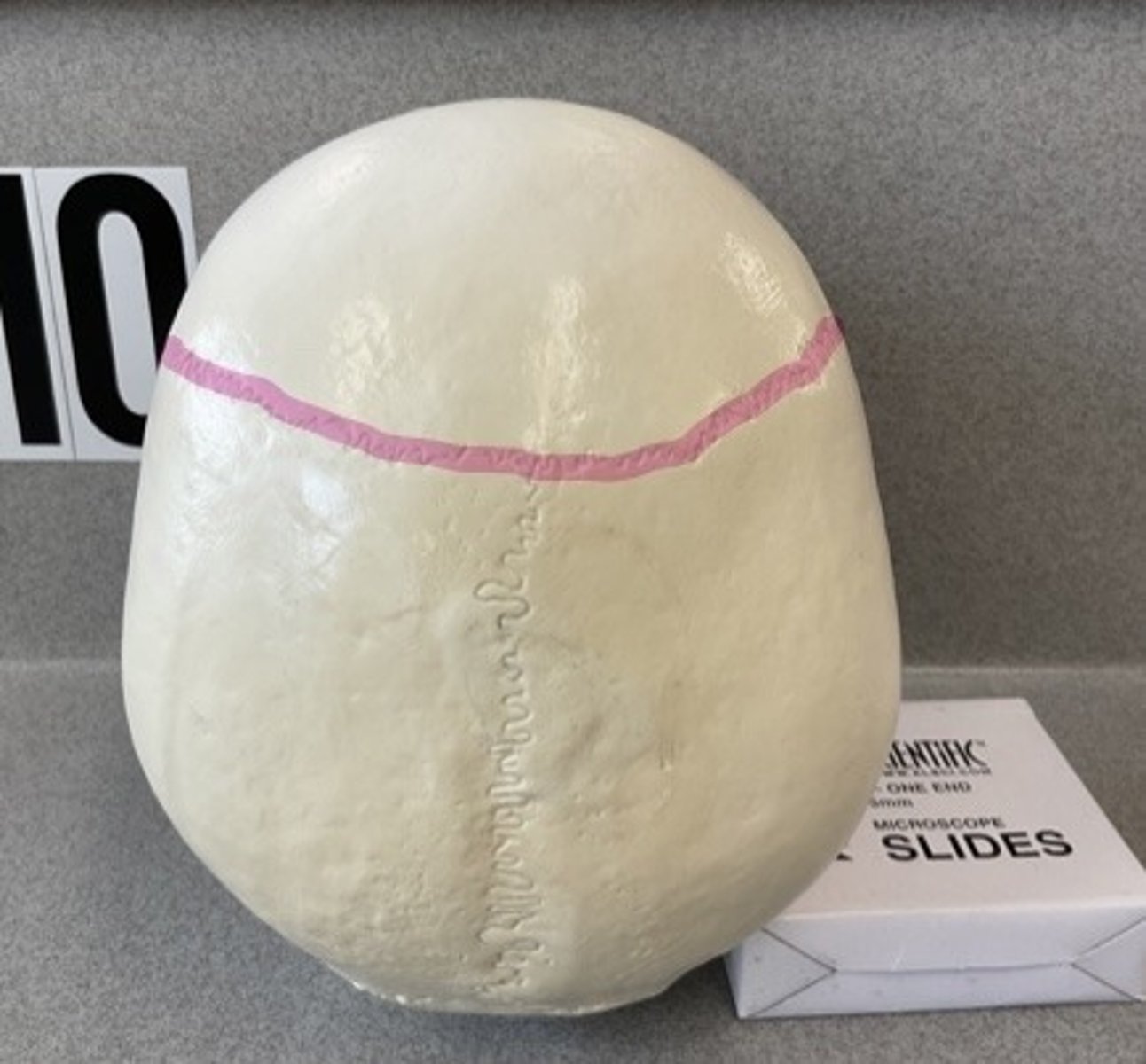 knowt flashcard image