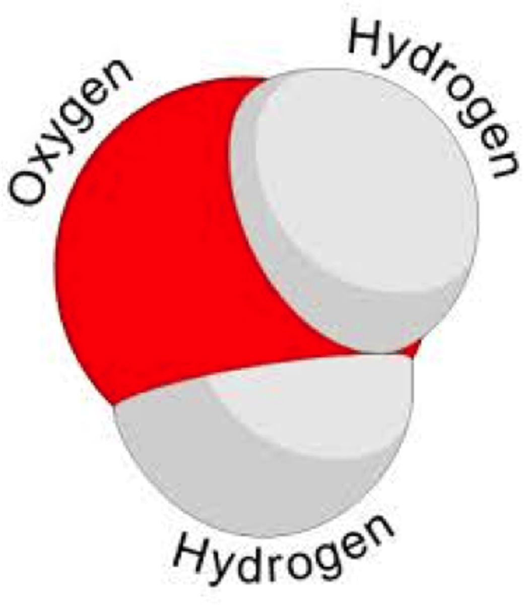 <p>Two or more atoms held together by chemical bonds</p>
