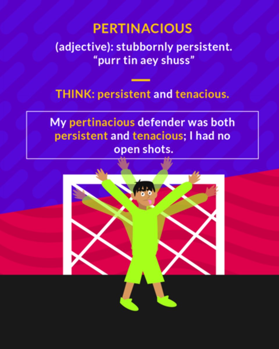 <p>(adj.) stubbornly persistent</p>