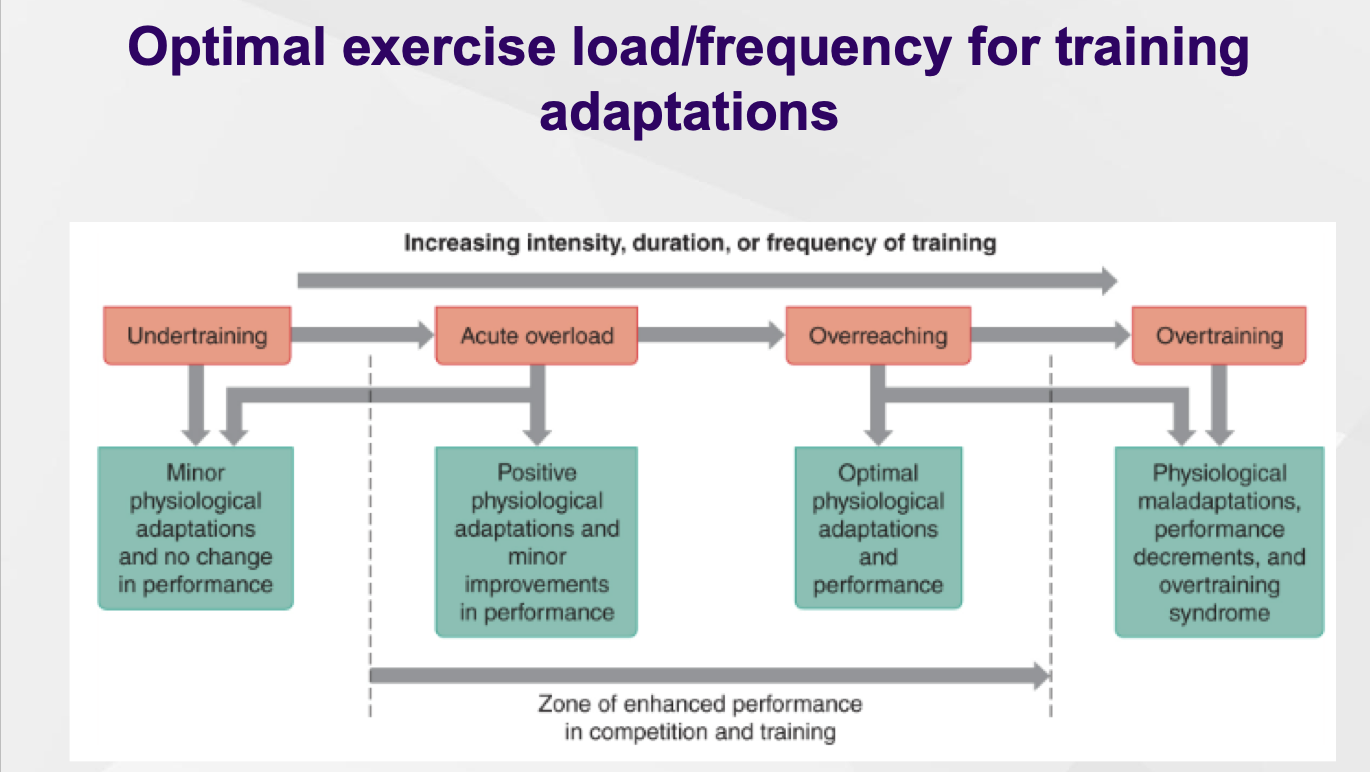 <ul><li><p><span><span>Need to increase demands on body to make further improvements</span></span></p></li><li><p><span><span>Muscle overload: muscles must be loaded beyond "normal" loading for improvement (=overreaching: decrement, then benefit)</span></span></p></li><li><p><span><span>Progressive training: as performance increases, resistance/repetitions/load must increase to further increase performance</span></span></p></li></ul><p></p>