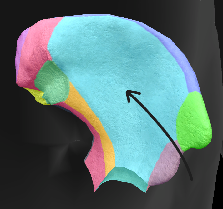 term image