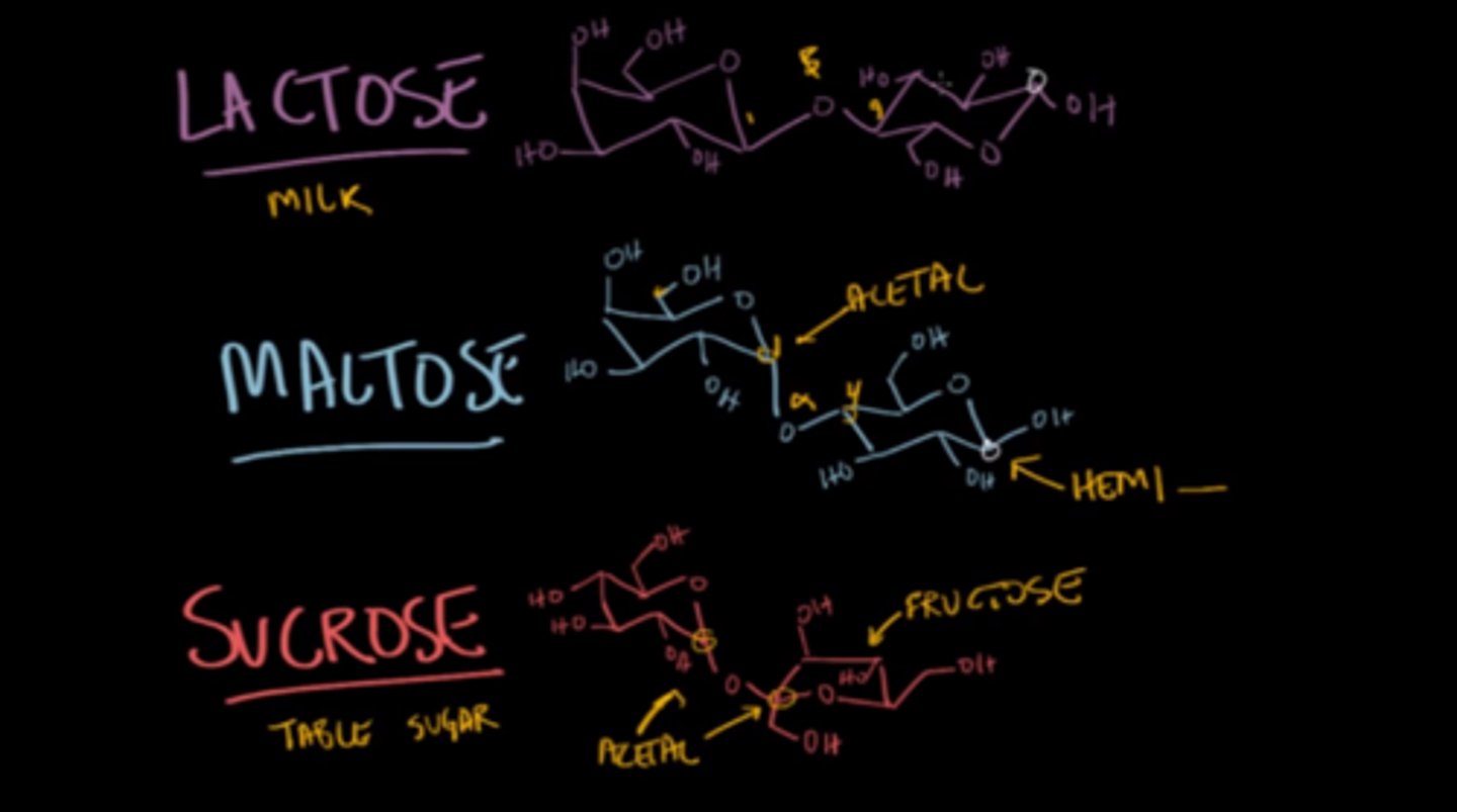 <p>This is due to the fact that in sucrose, the anomeric carbons of both sugar monomers are involved in the bond whereas in lactose and maltose the anomeric carbon of only one sugar monomer is involved.</p>