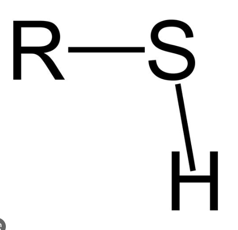 <p>It is very similar to a hydroxyl group, however, sulfur is LESS electronegative than oxygen, meaning that it’s less polar. </p>