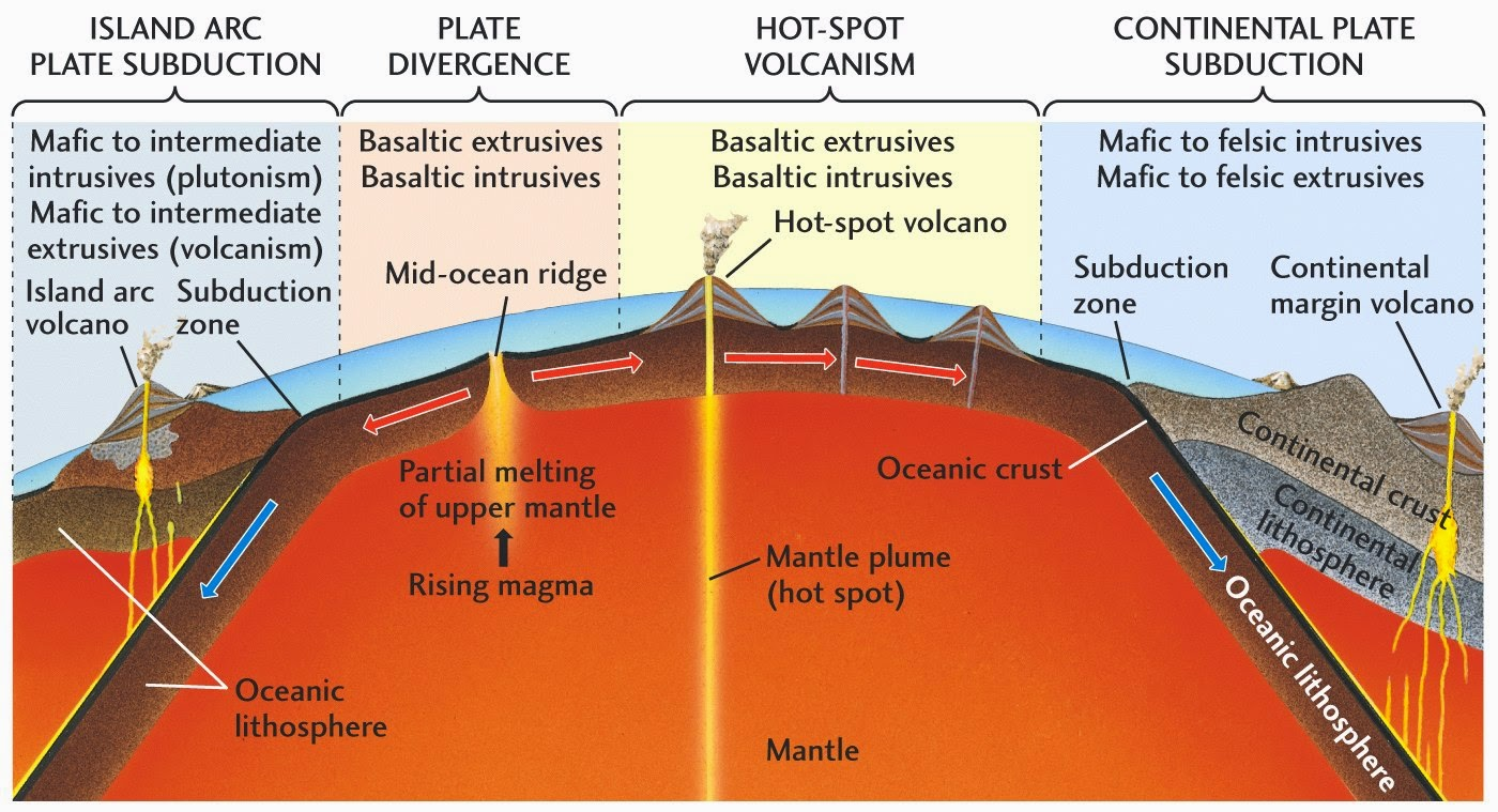 <ul><li><p><strong>Mafic rocks</strong> (e.g., <strong>basalt</strong>) form at <strong>divergent boundaries</strong> (mid-ocean ridges, hotspots).</p></li><li><p><strong>Intermediate rocks</strong> (e.g., <strong>andesite</strong>) form at <strong>convergent boundaries</strong> (subduction zones).</p></li><li><p><strong>Felsic rocks</strong> (e.g., <strong>granite, rhyolite</strong>) form in <strong>continental crust settings</strong> (e.g., volcanic calderas, batholiths). </p></li></ul><p></p>