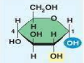 <p>Is this the alpha or beta glucose molecule?</p>