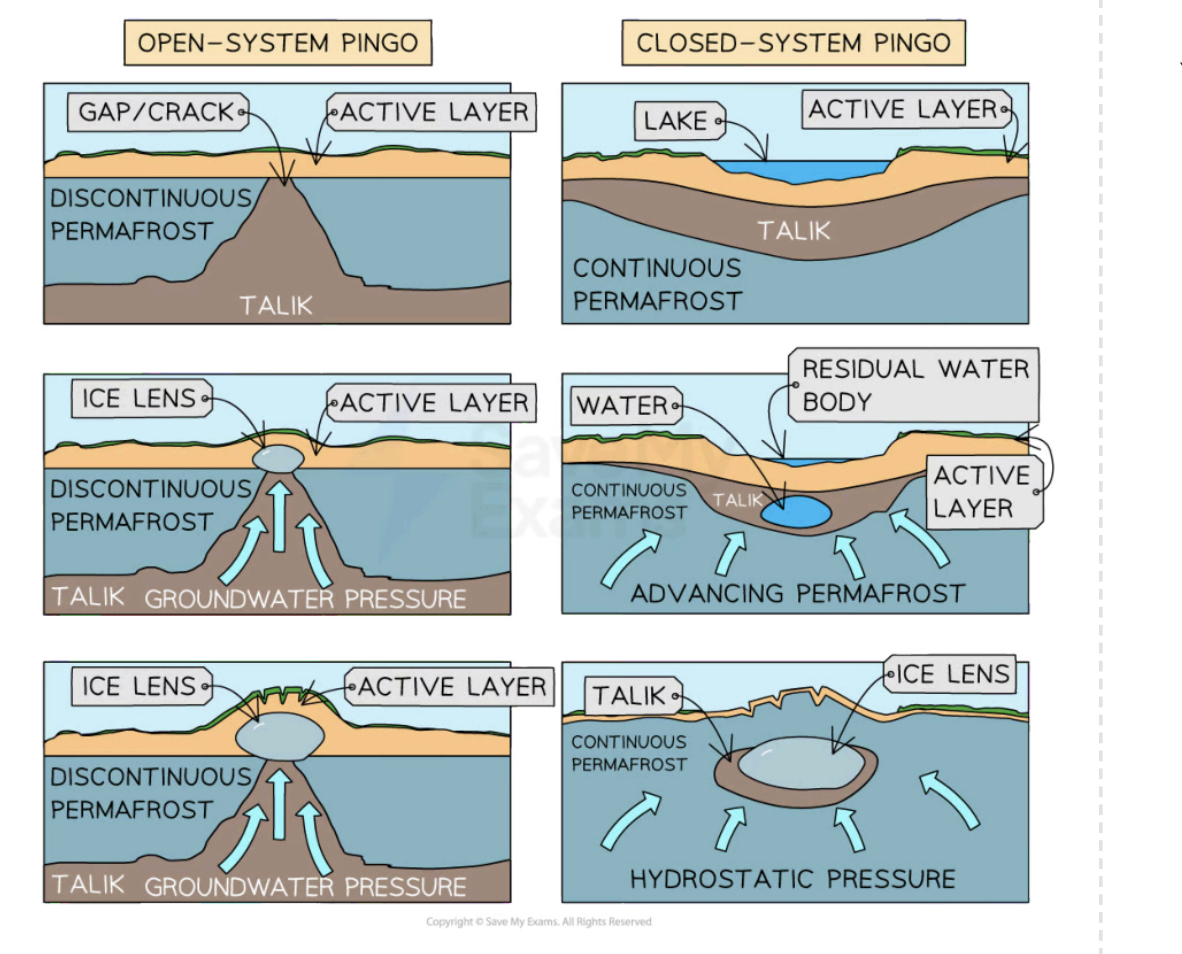 <p>An isolated, conical hill which is found in periglacial environments. They are formed by the movement and freezing of water under pressure.</p><p>Open system pingo - Formed when the source of water is from a distant, elevated source.</p><p></p><p>Closed system- pingo  Formed when the water is local, and the pingo is formed due to the expansion of permafrost</p>