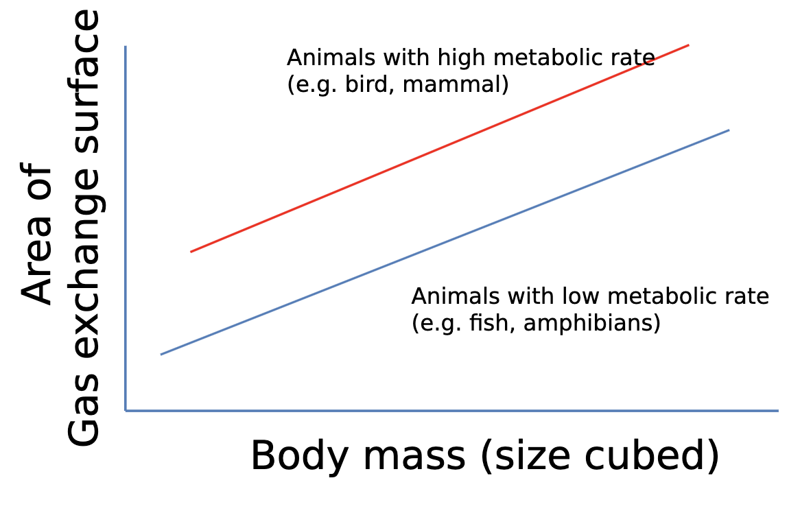 <p>proportional</p>