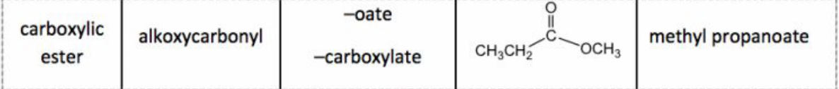 <p>Suffix: -oate; Prefix: alkoxycarbonyl-</p>