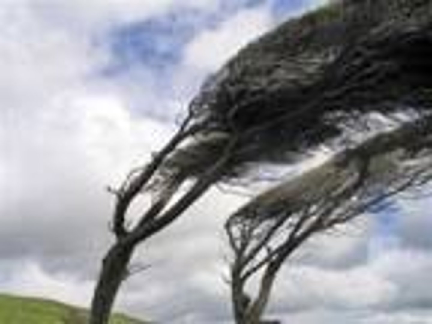 <p>how fast the air is moving</p>