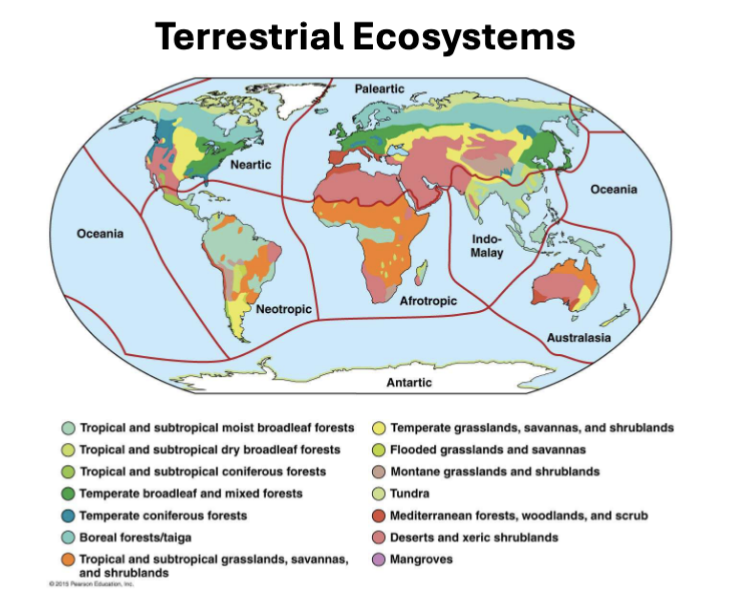 <p>tropical and subtropical moist broadleaf forests, tropical and subtropical dry broadleaf forests, tropical and subtropical coniferous forests, temperate broadleaf and mixed forests, temperate coniferous forests, boreal forests/taiga, tropical and subtropical grasslands/savannas/shrublands, temperate grasslands/savannas/shrublands, flooded grasslands/shrublands, montane grasslands/shrublands, tundra, mediterranean forests/woodlands/scrub, deserts and xeric shrublands, mangroves</p>