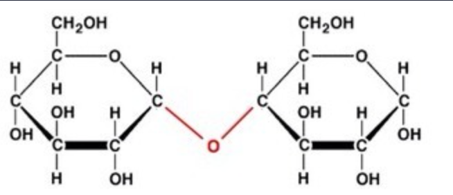 <p>What is this molecule?</p>