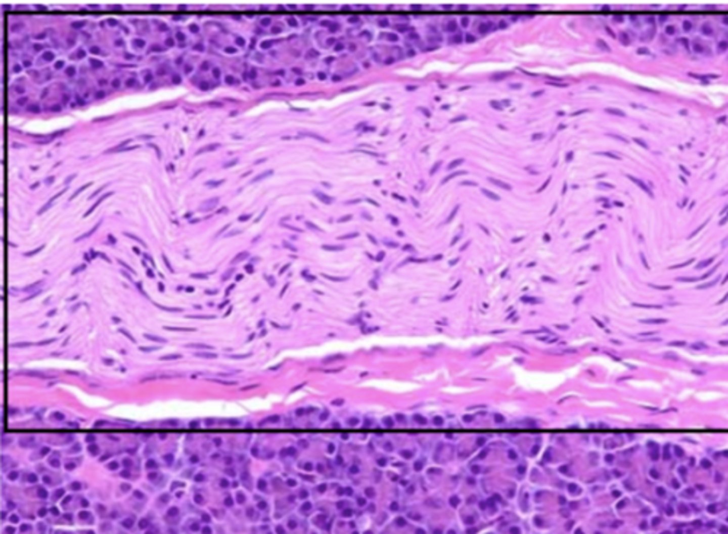 <p>Identify the structure</p>