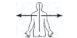 <p>Latéral</p>