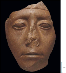 <p>-Red Quartzite, approx. 6.5&quot; high -Showed humanity in his commissions, still idealized body -Fought four campaigns in Nubia, but never achieved secure control over the Nubians -Was successful in establishing a more powerful central government in Egypt</p>