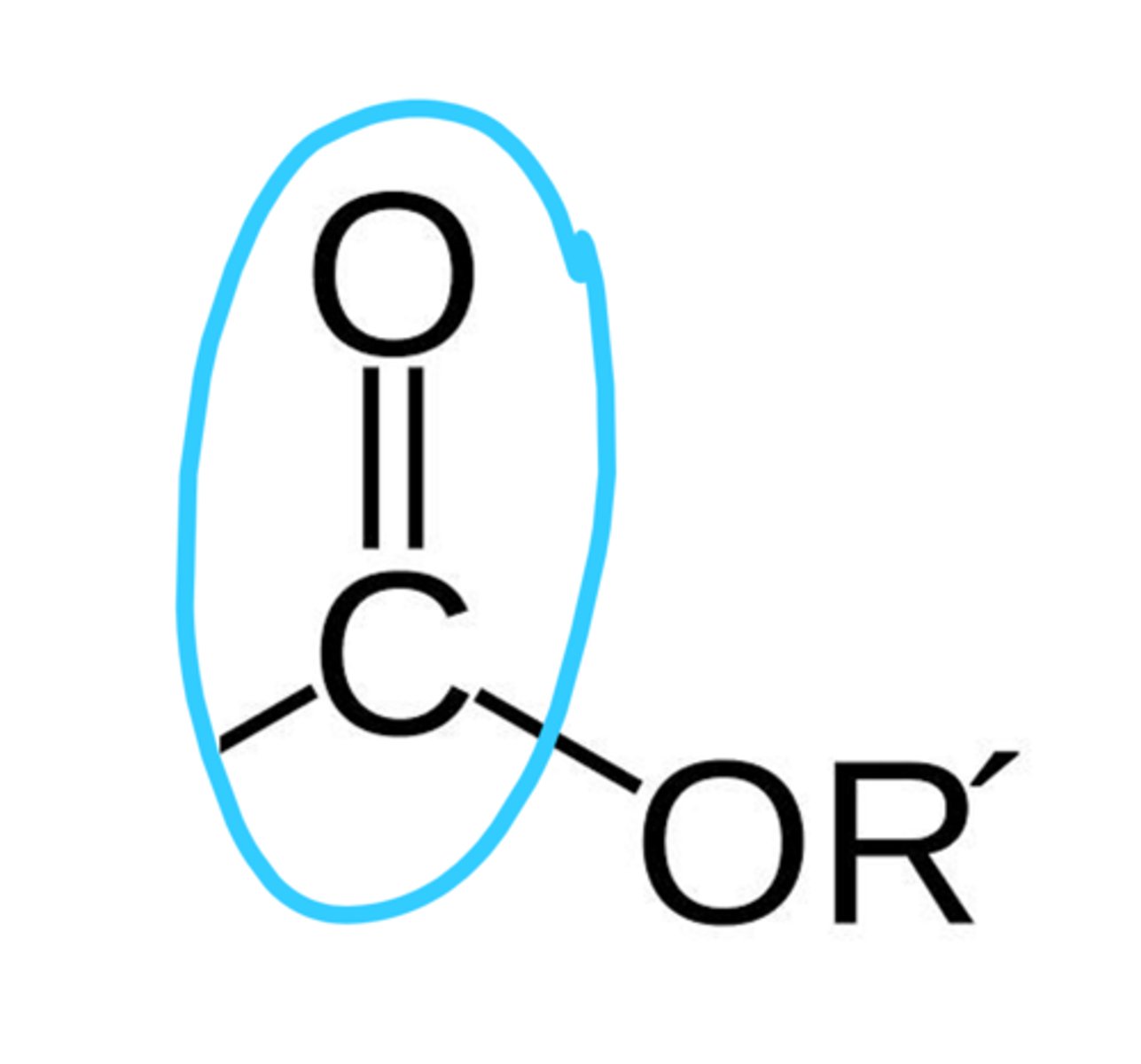 <p>1690-1740 strong and prominent</p>