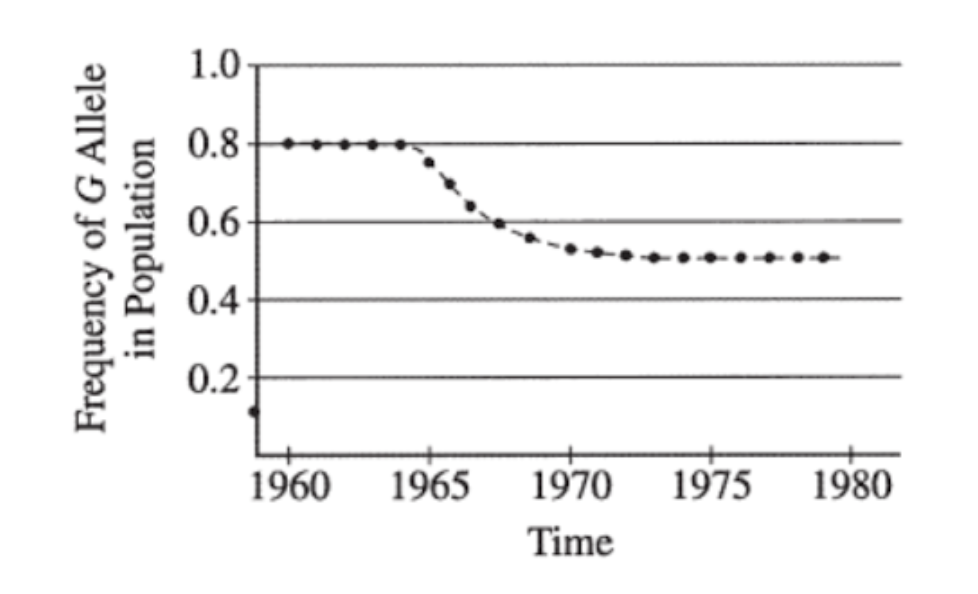 <p><span>A moth's color is controlled by two alleles, G and g, at a single locus. G (gray) is dominant to g (white). A large population of moths was studied, and the frequency of the G allele in the population over time was documented, as shown in the figure below. In 1980 a random sample of 2,000 pupae was collected and moths were allowed to emerge. Assuming that the population was in Hardy-Weinberg equilibrium for the G locus, what percentage of moths in the natural population was white in 1962?</span></p>