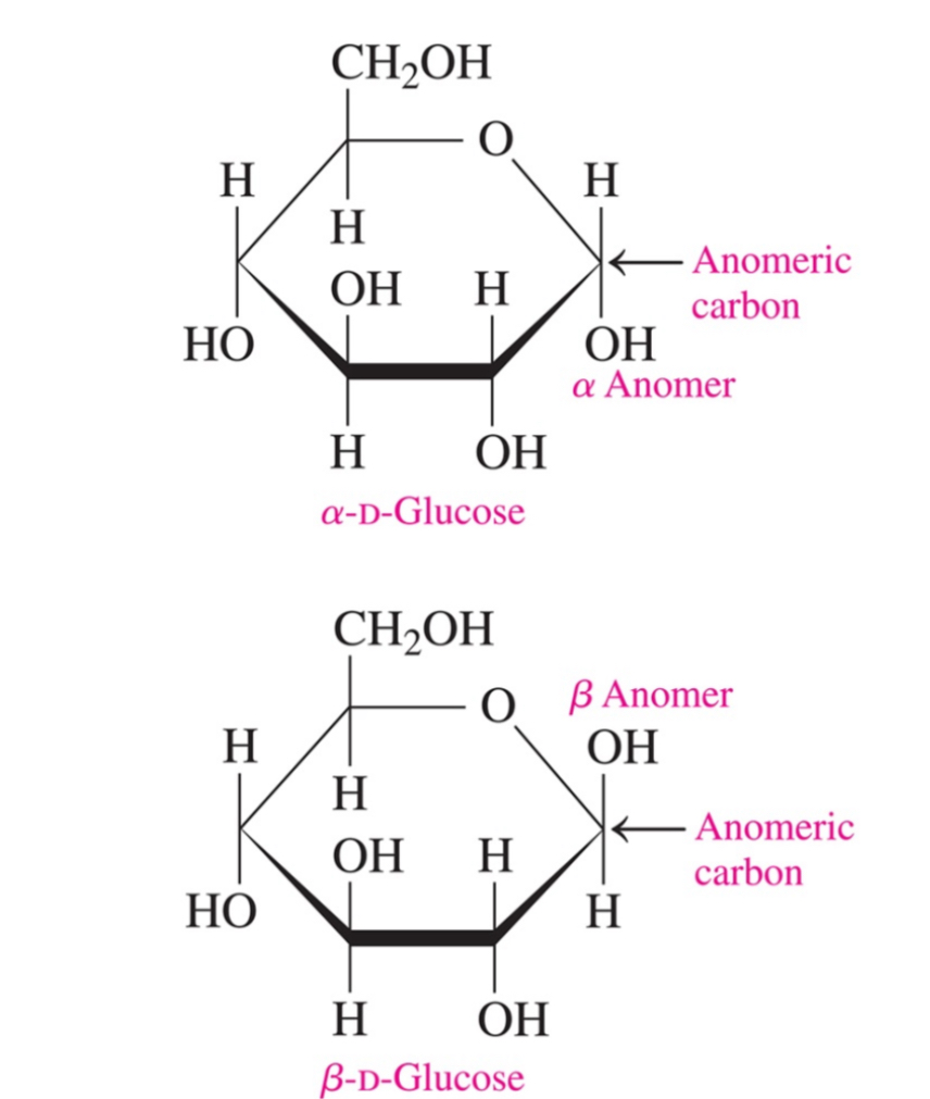 <p>alpha= -OH down</p><p>Beta= -OH up</p>