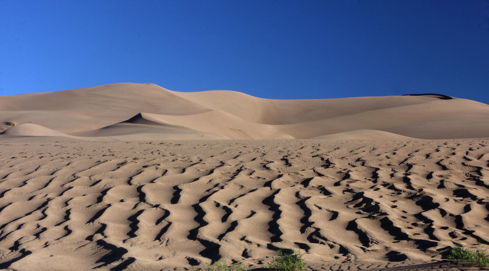 <p>What are barchanoid dunes?</p>