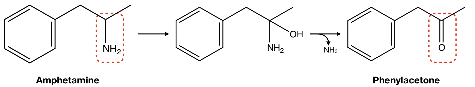 <p><strong>AMPHETAMINE</strong> TO <strong>PHENYLACETONE</strong></p>