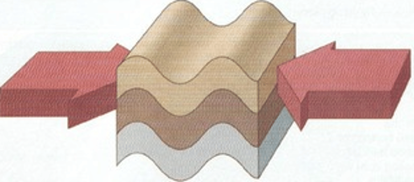 <p>reduction in length/ size as a result of an object being squashed</p>