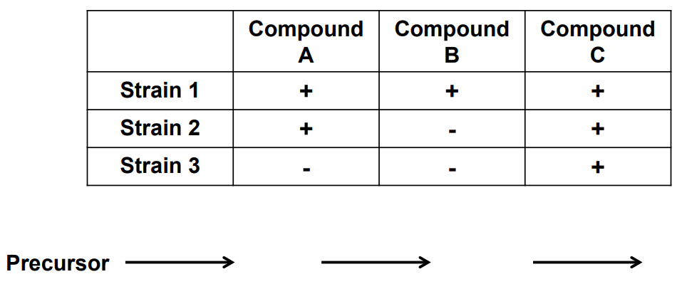 Complete this biochemical pathway.