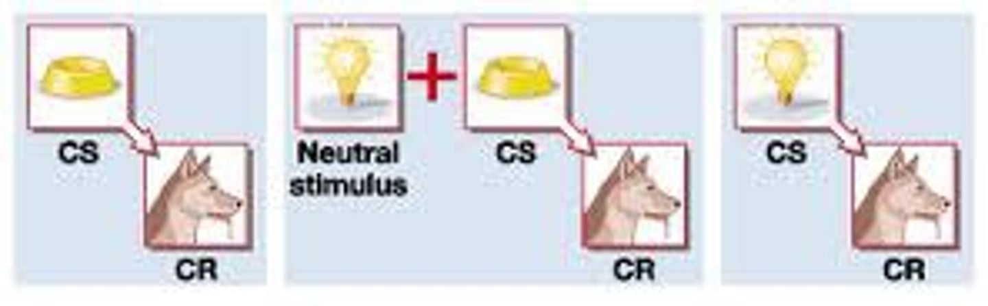 <p>a procedure in which the conditioned stimulus in one conditioning experience is paired with a new neutral stimulus, creating a second (often weaker) conditioned stimulus. For example, an animal that has learned that a tone predicts food might then learn that a light predicts the tone and begin responding to the light alone. (Also called second-order conditioning.)</p>
