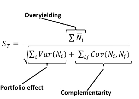 <p>Community stability</p>