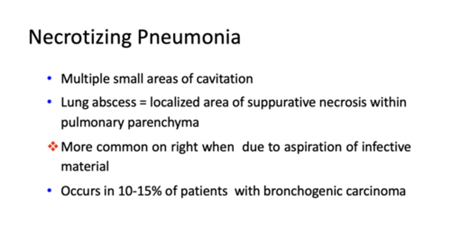 <p>necrotizing pneumonia</p>