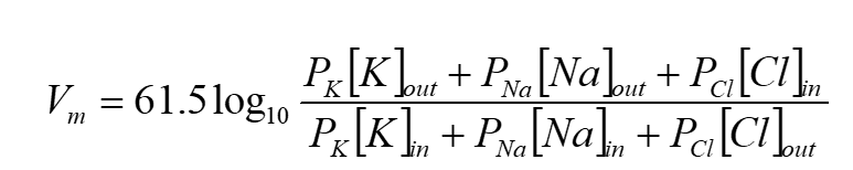 <p>We can calculate the membrane potential using the Goldman equation</p><div data-type="horizontalRule"><hr></div><p>What do we need to know to use the Nernst equation?</p><ol><li><p>ionic concentrations (inside and outside the cell)</p></li><li><p>The relative membrane permeability for each ion</p></li></ol><p></p>