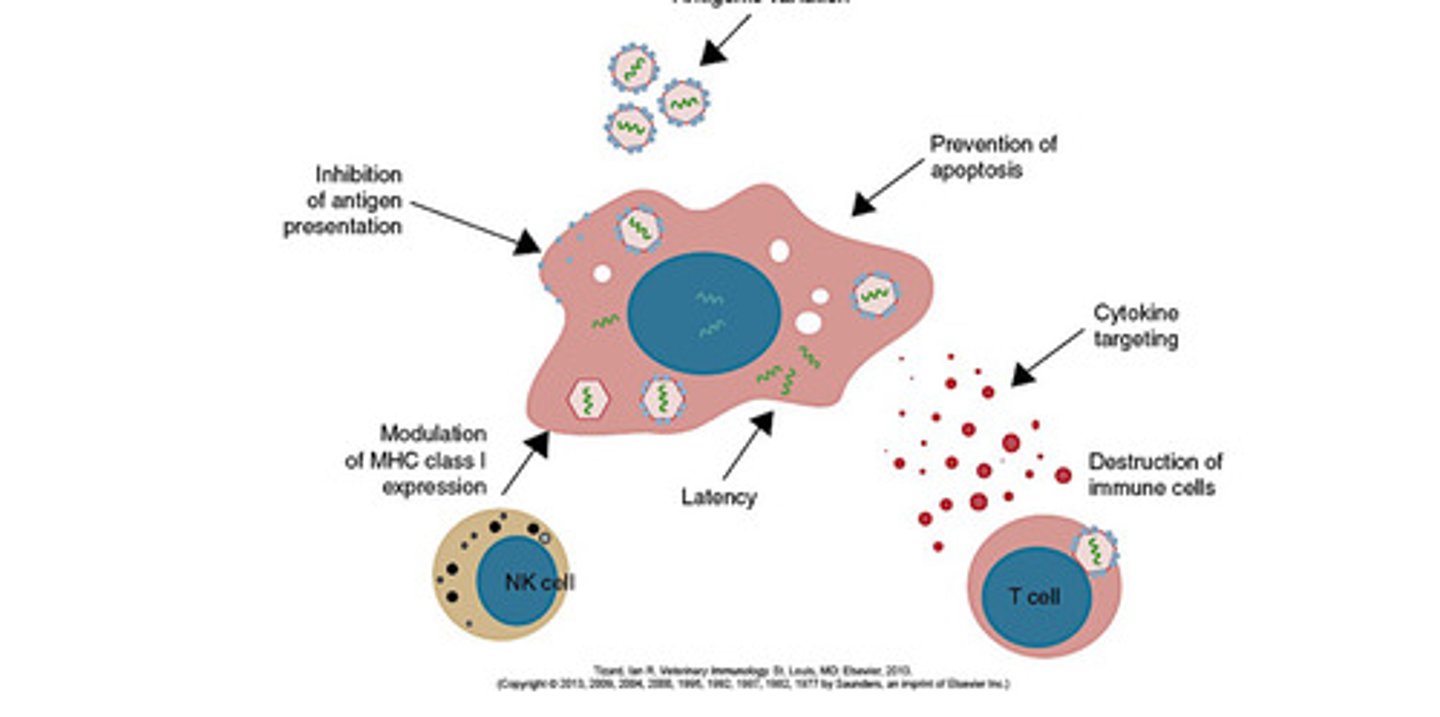 <p>nonspecific, specific</p>