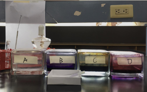 <p>What is the primary content in the cell wall of the organisms taking up stain labeled D responsible for its color appearance under this staining test? (Indicate the primary substance only)</p>