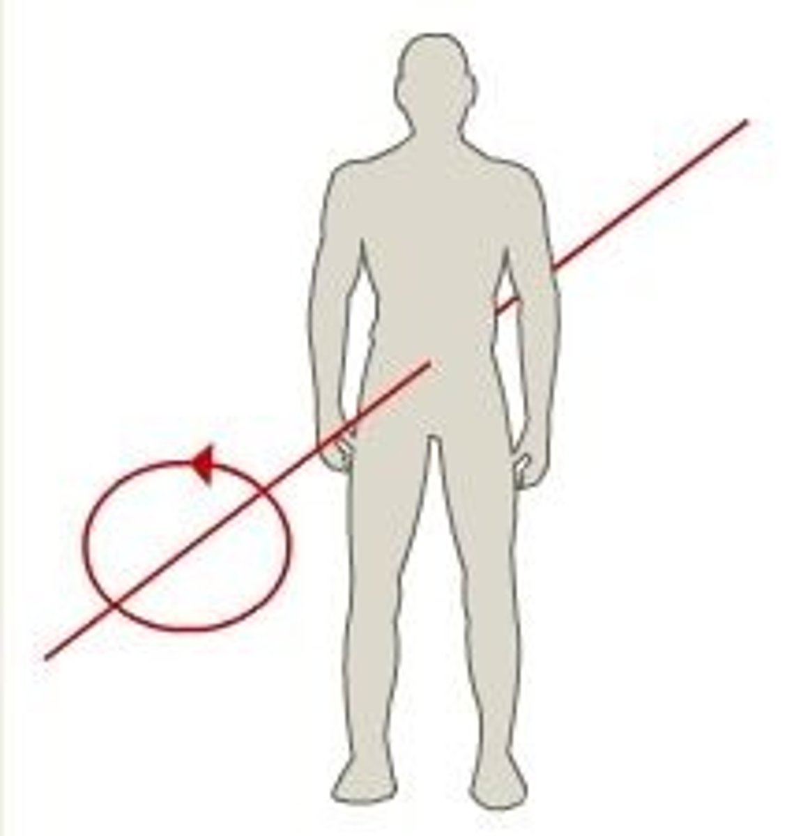 <p>Front to back relation in anatomical position. Goes through the belly button. Pairs with the frontal plane. E.g - cartwheel (rotation along frontal plane)</p>