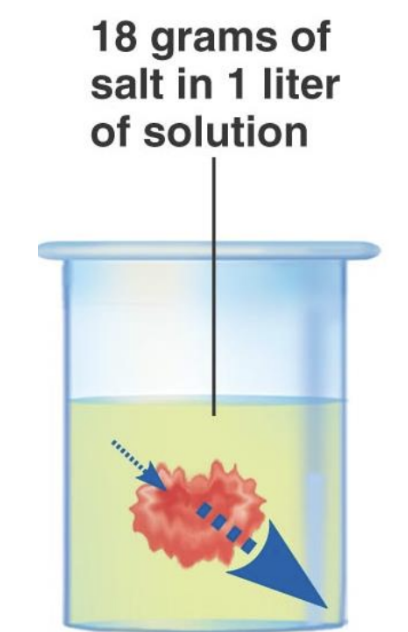 <p>A solution having a higher osmolality than the reference solution (having a higher concentration of solutes)</p><p>E.g. A strong saline solution is hyperosmotic to the red blood cell placed within it, which shrivels (water moves from inside to the outside of the cell)</p>