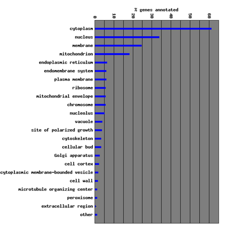 <p>Represents where the gene product of interest is located.</p>