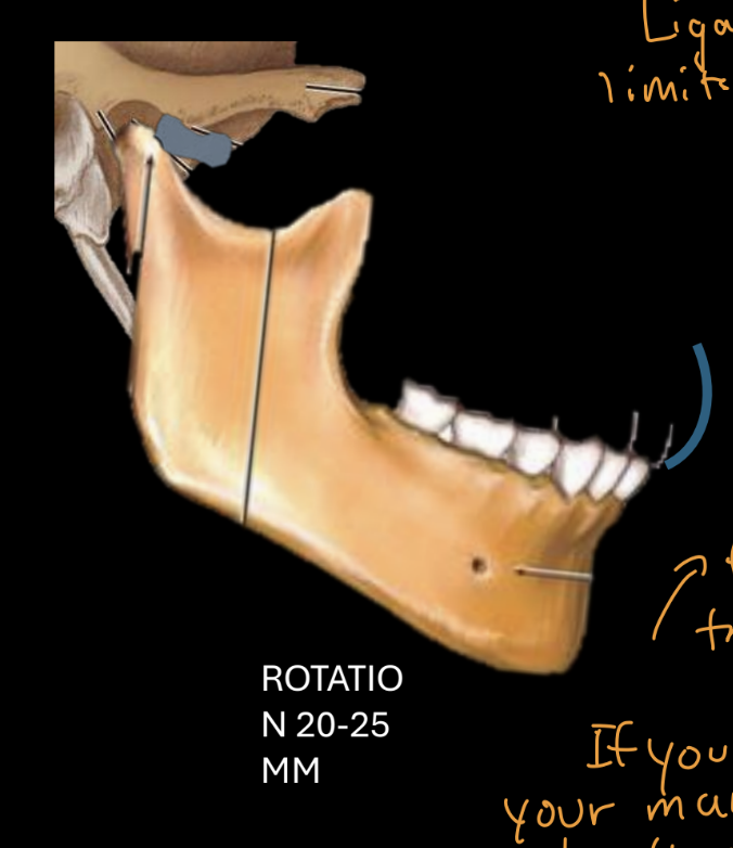 <p>ROTATION 20-25 MM (normal)</p>