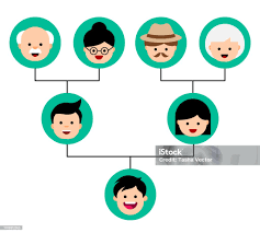 <p>What does the term "family tree" refer to?</p><p>a) A type of family vacation</p><p> b) A diagram showing family relationships </p><p>c) A tree that grows in family homes </p><p>d) A family tradition</p>