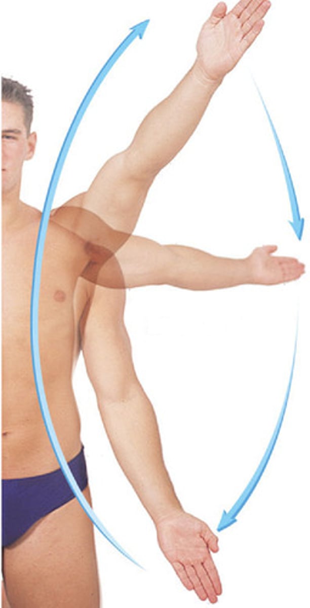 <p>movement of a distal part in a circular motion</p>