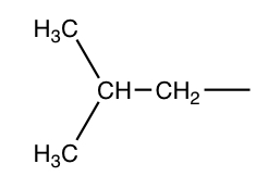 <p>Isobutyl-</p>