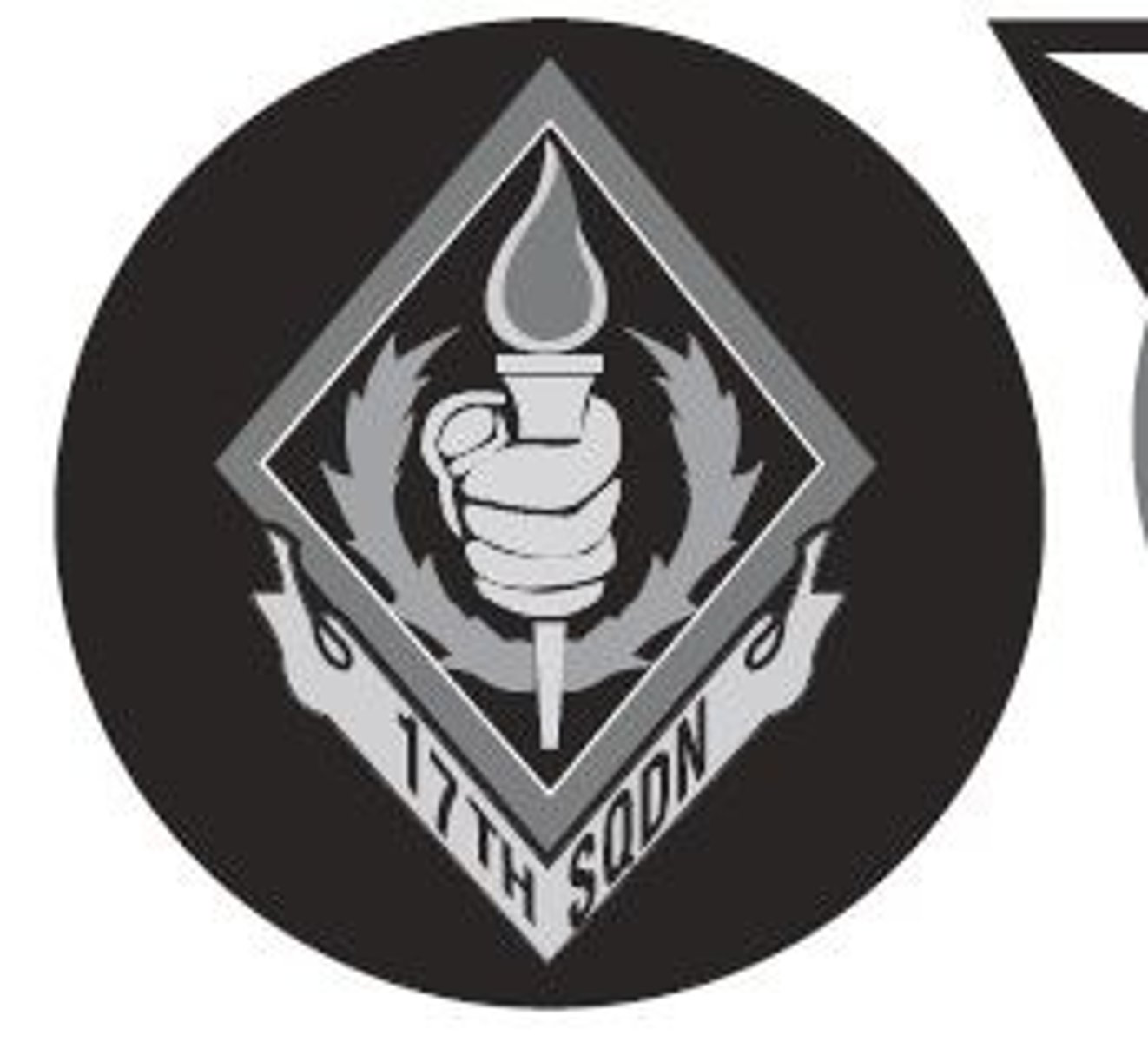<p>CS-17</p>