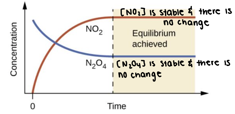 <p>equilibrium is reached when both reactant and product concentrations are stable, and do not change. </p>