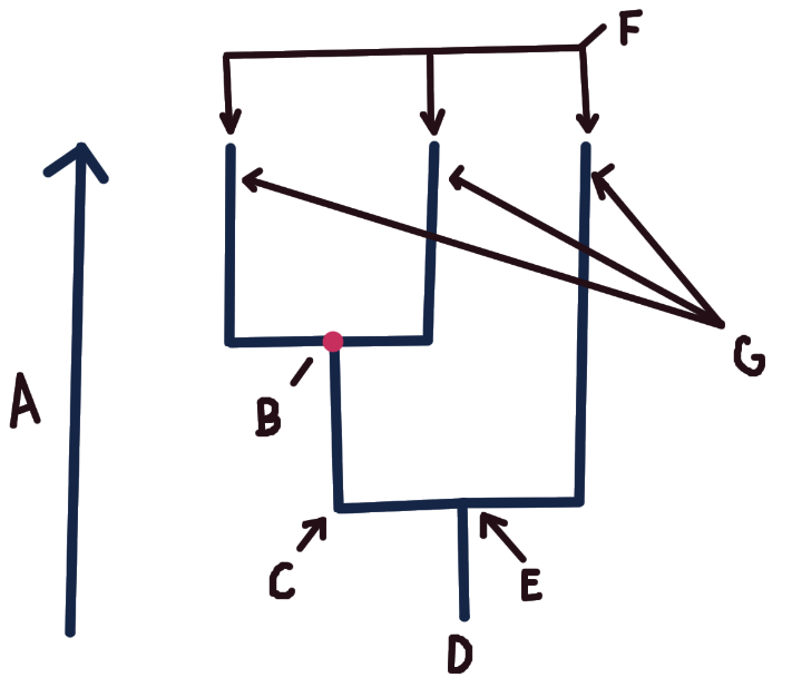 <p>B</p>