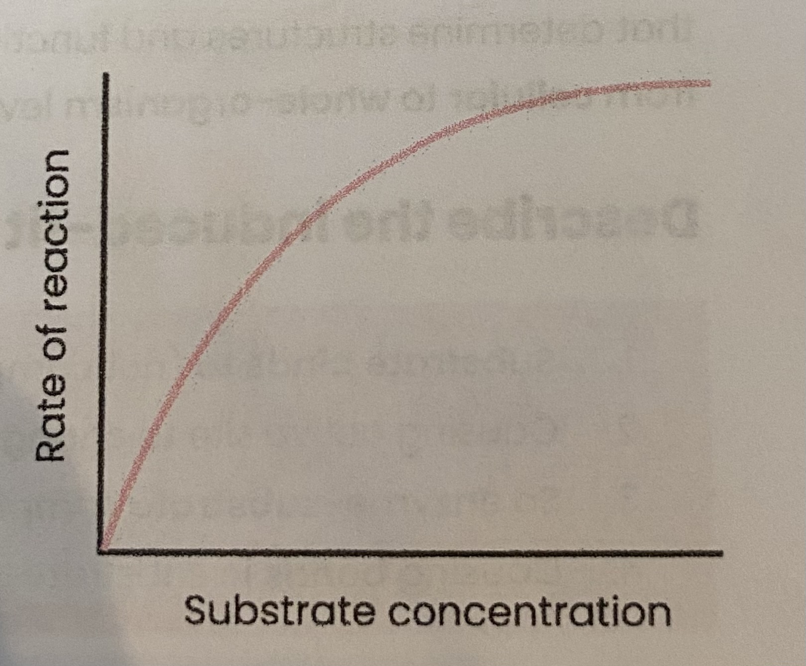 <ul><li><p>As substrate conc increases, rate of reaction <strong>increases</strong></p><p>&gt; <strong>substrate conc</strong>= <strong>limiting factor</strong> (too few enzymes molecules to occupy all active sites)</p><p>&gt; more <strong>E-S complexes </strong>form </p></li><li><p>At a certain point, rate of reaction <strong>stop increasing/ levels off</strong></p><p>&gt; <strong>enzyme conc</strong>= <strong>limiting factor</strong></p><p>&gt; as all active sites <strong>saturated/ occupied</strong> (at a given time)</p></li></ul><p></p>