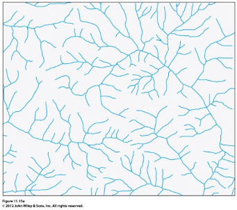 welk drainage patroon zie je hier?