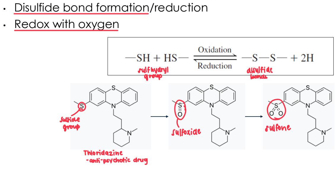<ul><li><p>Redox at the sulfur atom</p></li><li><p>Oxidation of hydrogen</p></li></ul><p></p>