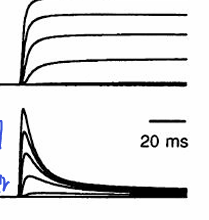 <p>what does this illustrate </p>